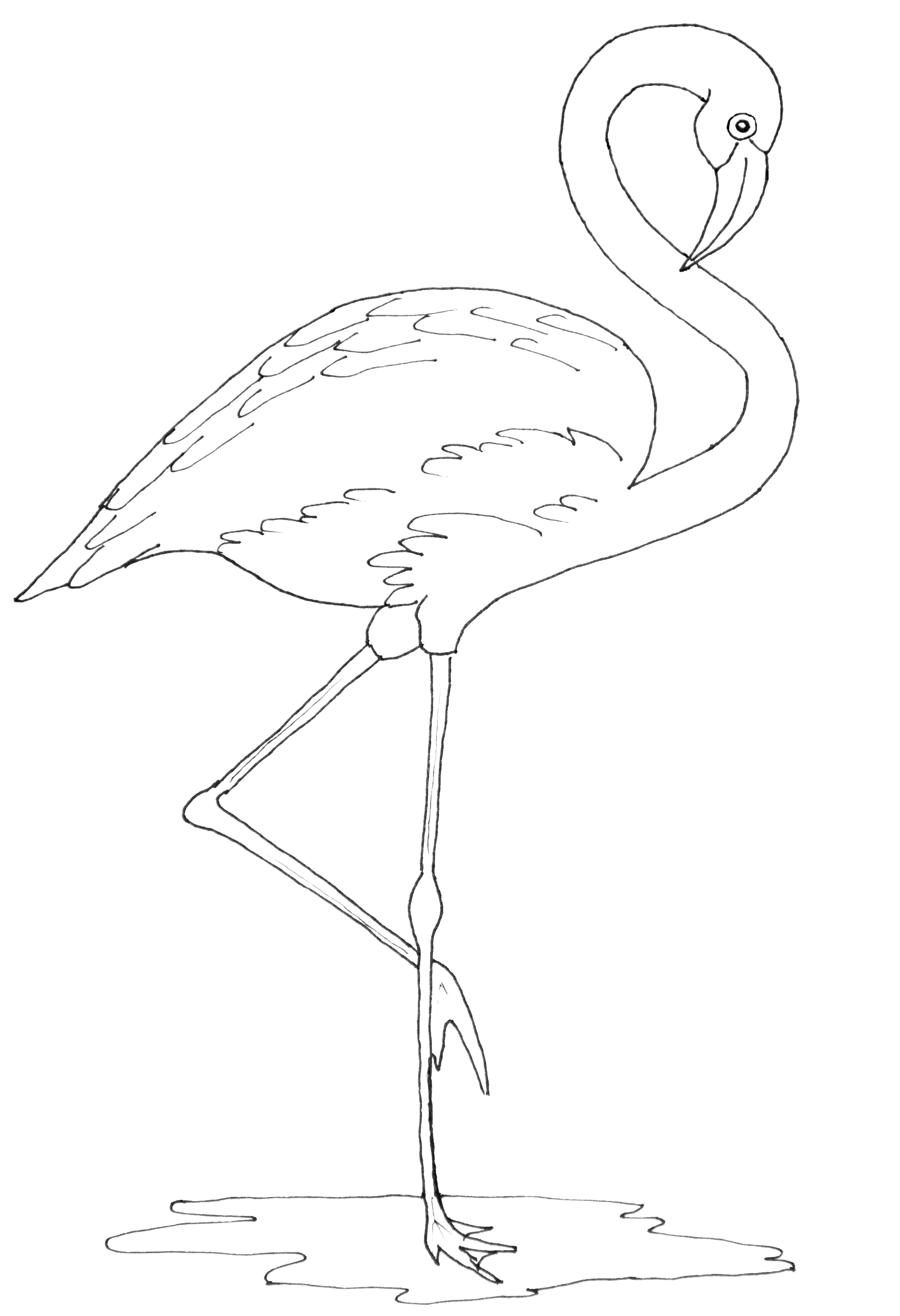 Save 60 Coloring Page Flamingo Ideas 49