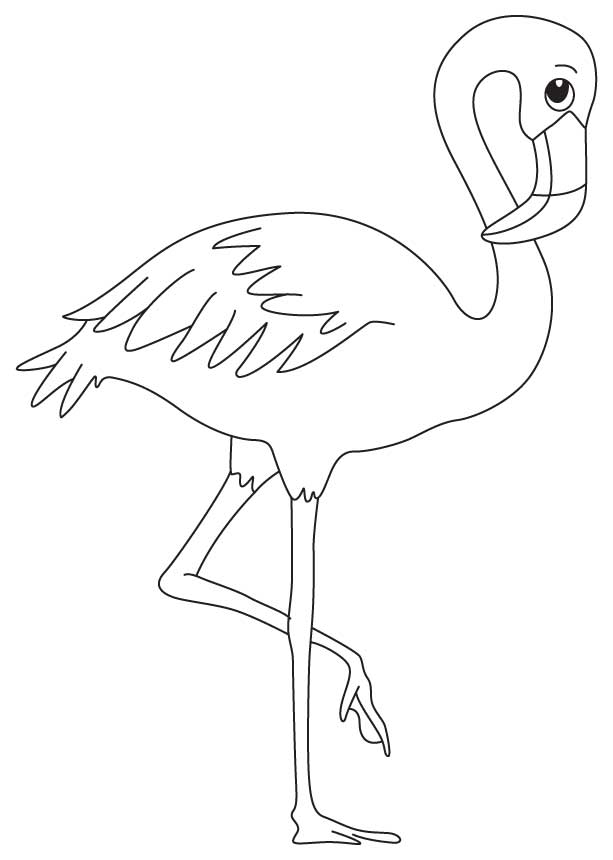 Save 60 Coloring Page Flamingo Ideas 5