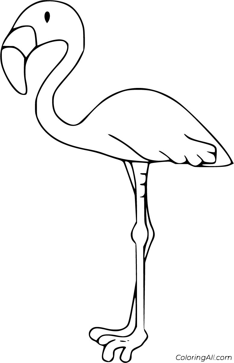 Save 60 Coloring Page Flamingo Ideas 51