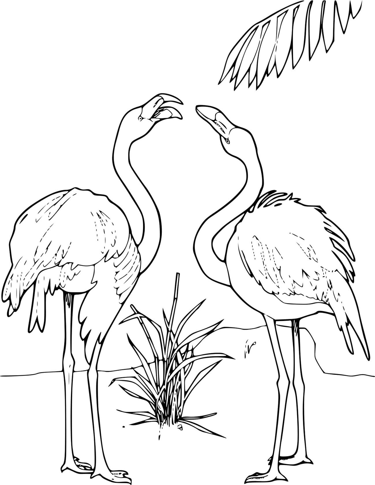 Save 60 Coloring Page Flamingo Ideas 52