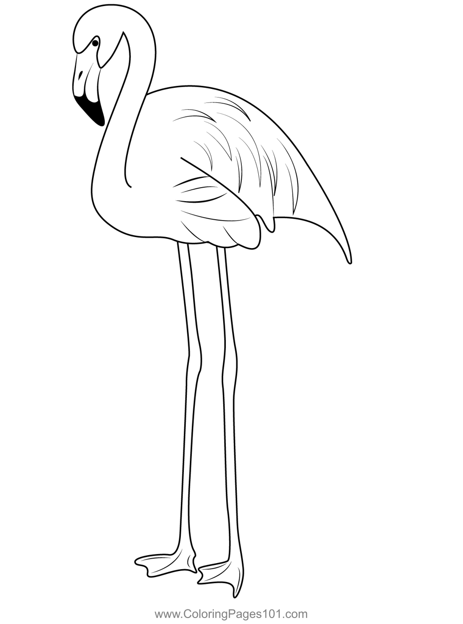 Save 60 Coloring Page Flamingo Ideas 53