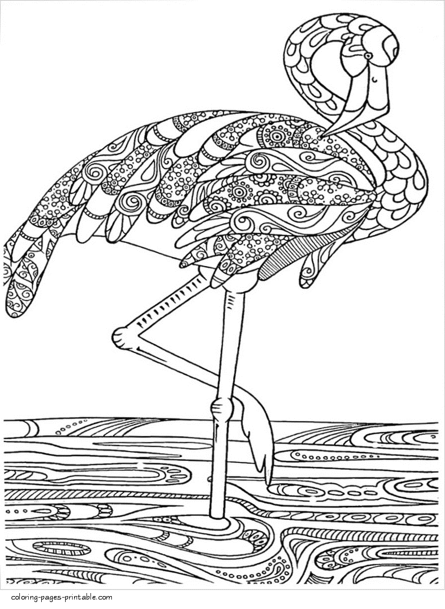 Save 60 Coloring Page Flamingo Ideas 54