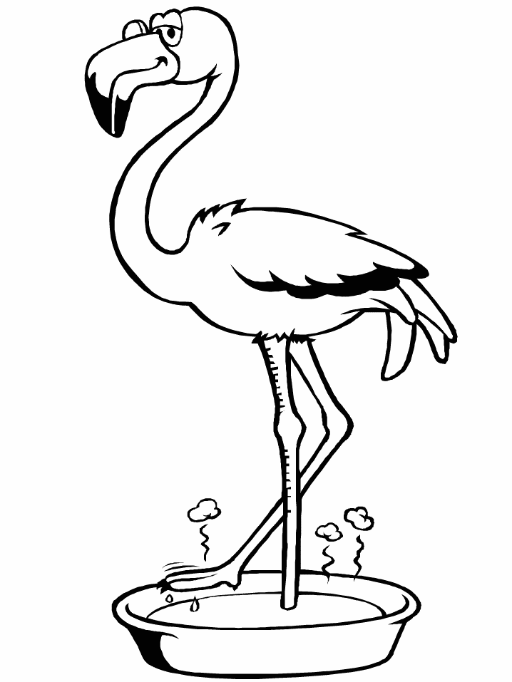 Save 60 Coloring Page Flamingo Ideas 6