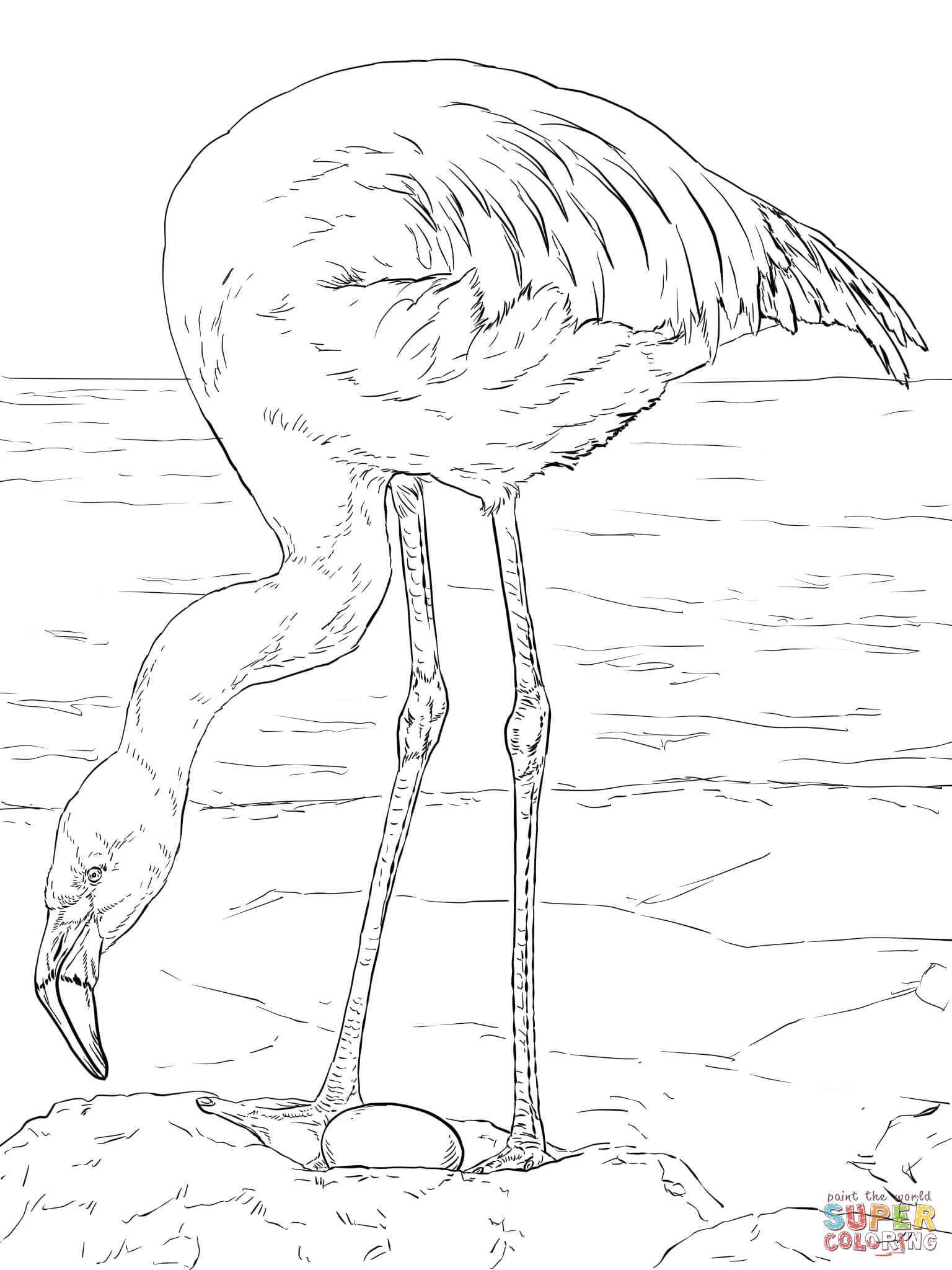 Save 60 Coloring Page Flamingo Ideas 9